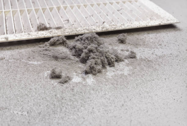 Best Best Air Duct Cleaning Company  in Amelia Court House, VA